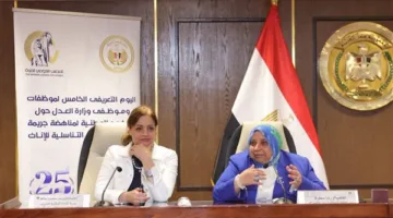 المجلس القومي للمرأة يقيم ورشة عمل حول المبادرات الوطنية لمكافحة ختان الإناث