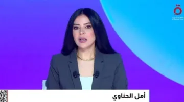 أمل الحناوي: فرص وقوع حرب شاملة بين تل أبيب وطهران تتزايد.