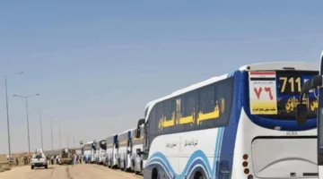 بعثة الحج: تأمين حافلات لنقل الحجاج العراقيين من عرعر إلى مدنهم.