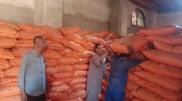 مدير الإصلاح الزراعي يزور المشاريع والجمعيات التابعة للهيئة في المنوفية