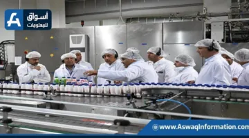 بيتي: الهدف هو بلوغ حجم الخطة الاستثمارية إلى 7 مليارات جنيه خلال السنوات الثلاث القادمة | صور