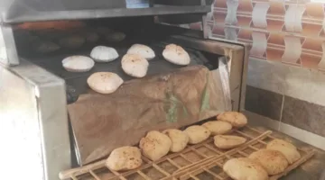ضبط 123 بطاقة تموين داخل مخبز حكومي مدعوم في قنا