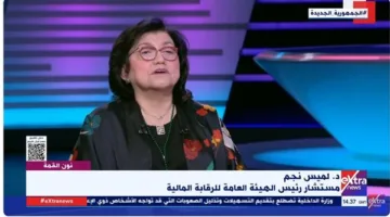 نون القمة: لميس نجم.. حدث بارز في تاريخ المصارف المصرية والقطاع المالي