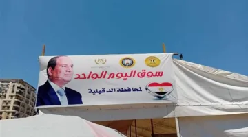 محافظ الدقهلية: استمرار فعاليات أسواق اليوم الواحد يومي الجمعة والسبت أسبوعياً