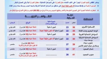 درجات الحرارة المرتفعة: 36° في القاهرة و43° في أسوان.. الأرصاد تكشف تفاصيل الطقس ليوم الأحد 15 يونيو 2025.