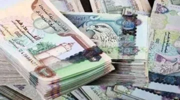 أسعار صرف الدرهم الإماراتي ليوم الأحد في بداية الأسبوع الحالي