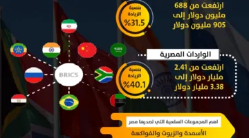التجارة بين مصر ودول البريكس في 2024 | صورة معلوماتية