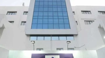فوائد التعليم في مدارس WE بعد إتمام الشهادة الإعدادية (معلومات تفصيلية)