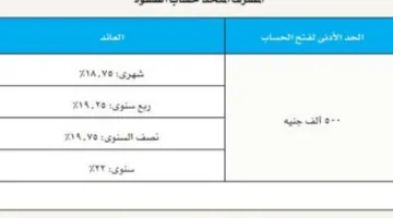بعائد يصل إلى 22%.. معلومات حول أسعار الفائدة الجديدة على حسابات التوفير في البنوك