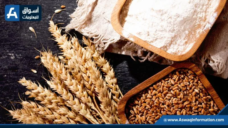 أسعار الدقيق اليوم الأحد لدى التجار.. تعرف على أسعار طن الردة أسعار الدقيق اليوم الأحد لدى التجار.. تعرف على أسعار طن الردة