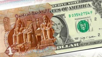 بعد ارتفاعه بنسبة 1.7% مقابل الجنيه، سعر الدولار يتجه نحو 51 جنيهًا.