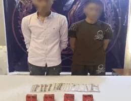 إلقاء القبض على شبكة إجرامية تقوم بالاحتيال على المواطنين بزعم تقديم خطوط هاتف مميزة في القاهرة