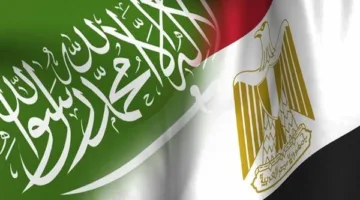 مجلس الوزراء: اتصال الكهرباء مع السعودية يشكل بداية مصر كمركز إقليمي للطاقة