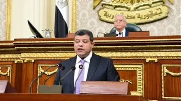 النائب محمد سليمان يقدم ملخصًا عن تقرير مشروع قانون تنظيم بعض الجوانب المتعلقة بملكية الدولة.
