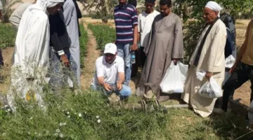 توظيف أنظمة الري بالرش والتنقيط في زراعة 46 فدان من قصب السكر في المنيا