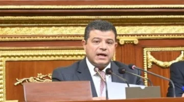 رئيس لجنة الشؤون الاقتصادية بالنواب يقدم تقريراً حول مشروع قانون تنظيم بعض المسائل المتعلقة بملكية الدولة في الشركات.