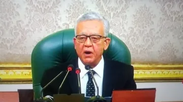 مجلس النواب: مصر ستظل دائمًا داعمة للحقوق الفلسطينية المشروعة