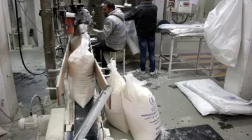 مطاحن ومخابز شمال القاهرة تعتزم تحسين 13 نقطة بيع لزيادة مبيعاتها وتسويق منتجاتها