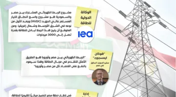 الحكومة: نسبة إنجاز مشروع الربط الكهربائي بين مصر والسعودية تصل إلى 76.9% حتى نهاية مايو الماضي.