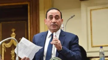نائب: قانون ملكية الدولة في الشركات يُعزز دور القطاع الخاص في الاستثمار