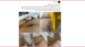 الداخلية توضح تفاصيل فيديو زعم تعرض ابن شخص للاعتداء بأسلحة بيضاء في البحيرة