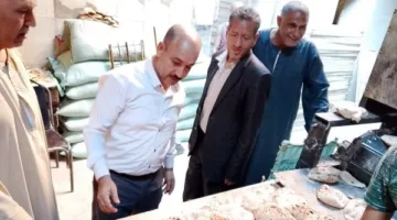 المنيا: ضبط 167 مخالفة تموينية في مخابز ملوي خلال حملات تفتيش صارمة
