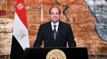 الرئيس السيسي يلتقي المدير التنفيذي لمؤسسة التمويل الدولية