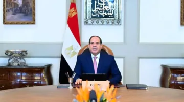 السيسي يستعرض سبل زيادة الاستثمارات في مصر وتوفير التمويل للقطاع الخاص