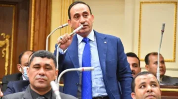 نائب: تشريع ملكية الدولة في الشركات يعزز مشاركة القطاع الخاص في الاستثمار