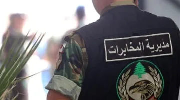 جنوبًا: القبض على 4 أفراد من قبل جهاز المخابرات
