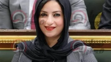 النائبة آيات الحداد تقدم مشروع قانون لإنشاء هيئة مستقلة لتسوية المنازعات بين الملاك والمستأجرين في قانون الإيجار القديم.