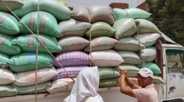 المنيا تتجاوز نصف مليون طن من القمح والمحافظ يعلن عن استمرار عمليات التوريد لدعم الأمن الغذائي.