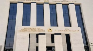 الكهرباء مستمرة.. مصر تطبق خطة الطوارئ لتوفير الغاز (فيديو)