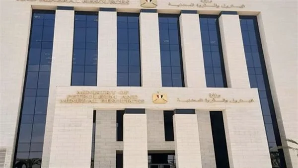 الكهرباء مستمرة.. مصر تطبق خطة الطوارئ لتوفير الغاز (فيديو)