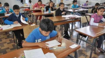 رابط مباشر للاستعلام عن نتائج الابتدائية والإعدادية 2025 في جميع المحافظات