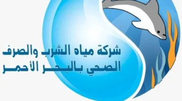 توفير خدمات مياه الشرب والصرف الصحي بشكل كامل من خلال لجان الثانوية العامة في البحر الأحمر