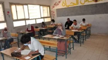 نتائج الطلاب للصف الثالث الإعدادي 2025 في محافظة القاهرة من خلال بوابة التعليم الأساسي
