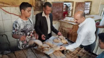 تفاصيل رصد الانتهاكات التموينية في مخابز ملوي خلال حملات تفتيش شاملة