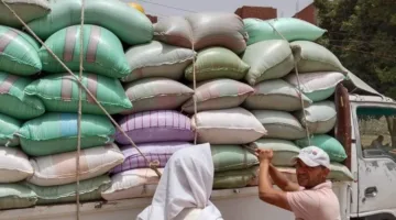محافظ المنيا: استمرار عمليات توريد القمح حيث بلغ الإجمالي 508 آلاف طن في الشون والصوامع.