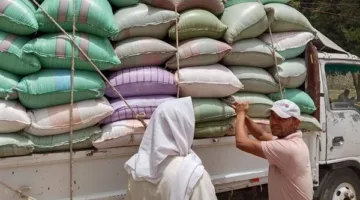 تفاصيل استمرار شحن كميات ضخمة من القمح.