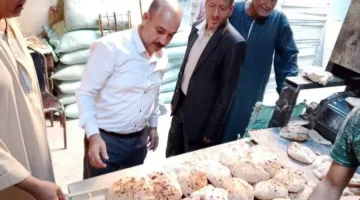 المنيا: ضبط 167 انتهاكاً تموينياً في مخابز ملوي خلال حملات تفتيشية شاملة