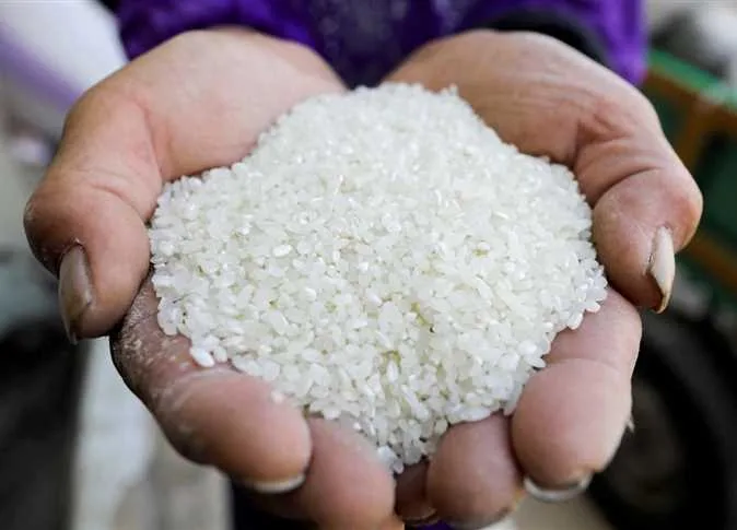 ارتفاع سعر الطن إلى 29 ألف جنيه: أسعار الأرز اليوم الأحد 15 يونيو 2025 في الأسواق وقائمة المنتجات ارتفاع سعر الطن إلى 29 ألف جنيه: أسعار الأرز اليوم الأحد 15 يونيو 2025 في الأسواق وقائمة المنتجات