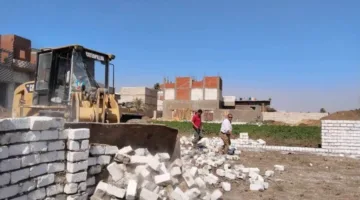 الموجة 26: إزاحة 371 حالة اعتداء على الأراضي الزراعية وأملاك الدولة في المنيا