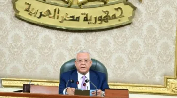 مجلس النواب يوافق على إعفاء صندوق مصر السيادي من الضرائب