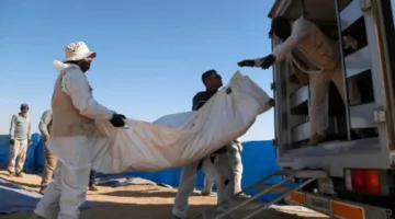 إيرلندا تبحث في مقابر جماعية عن جثث 796 طفلاً فقدوا حياتهم في دور الأيتام الدينية.