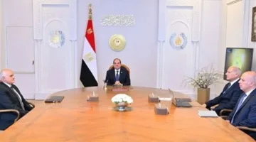 عاجل.. الرئيس السيسي: مصر ستظل تتذكر دائمًا تضحيات أبنائها الأوفياء