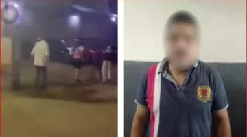 تحقيقات حول حادثة الاعتداء على كلب في القاهرة وسبب وفاته
