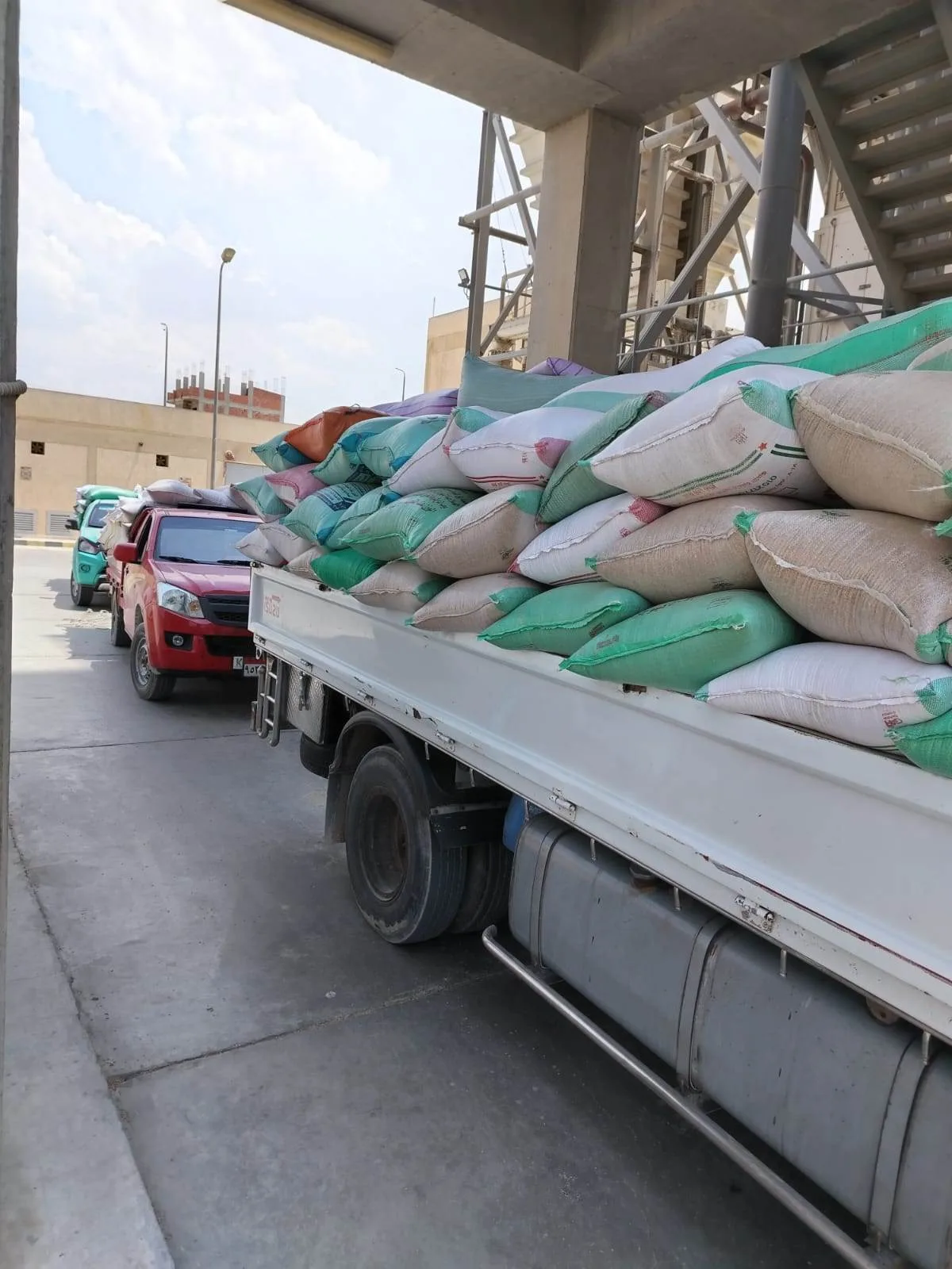 توفير أكثر من 310 ألف طن من القمح في محافظة البحيرة توفير أكثر من 310 ألف طن من القمح في محافظة البحيرة