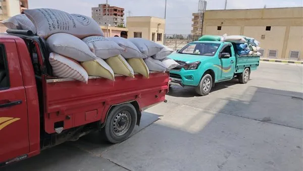 شون وصوامع البحيرة تستقبل ما يزيد عن 310 آلاف طن من القمح. شون وصوامع البحيرة تستقبل ما يزيد عن 310 آلاف طن من القمح.