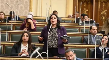 مرثا محروس “نائبة التنسيقية”: قانون “الشركات الحكومية” يعزز دور القطاع الخاص ويعزز التنمية الاقتصادية